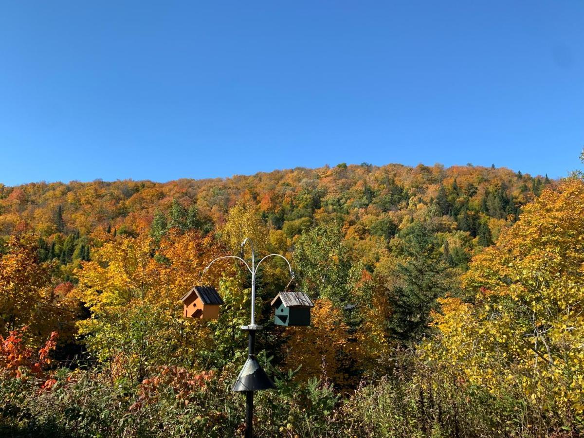 Loft Nature Laurentides Val-des-Lacs Exterior foto