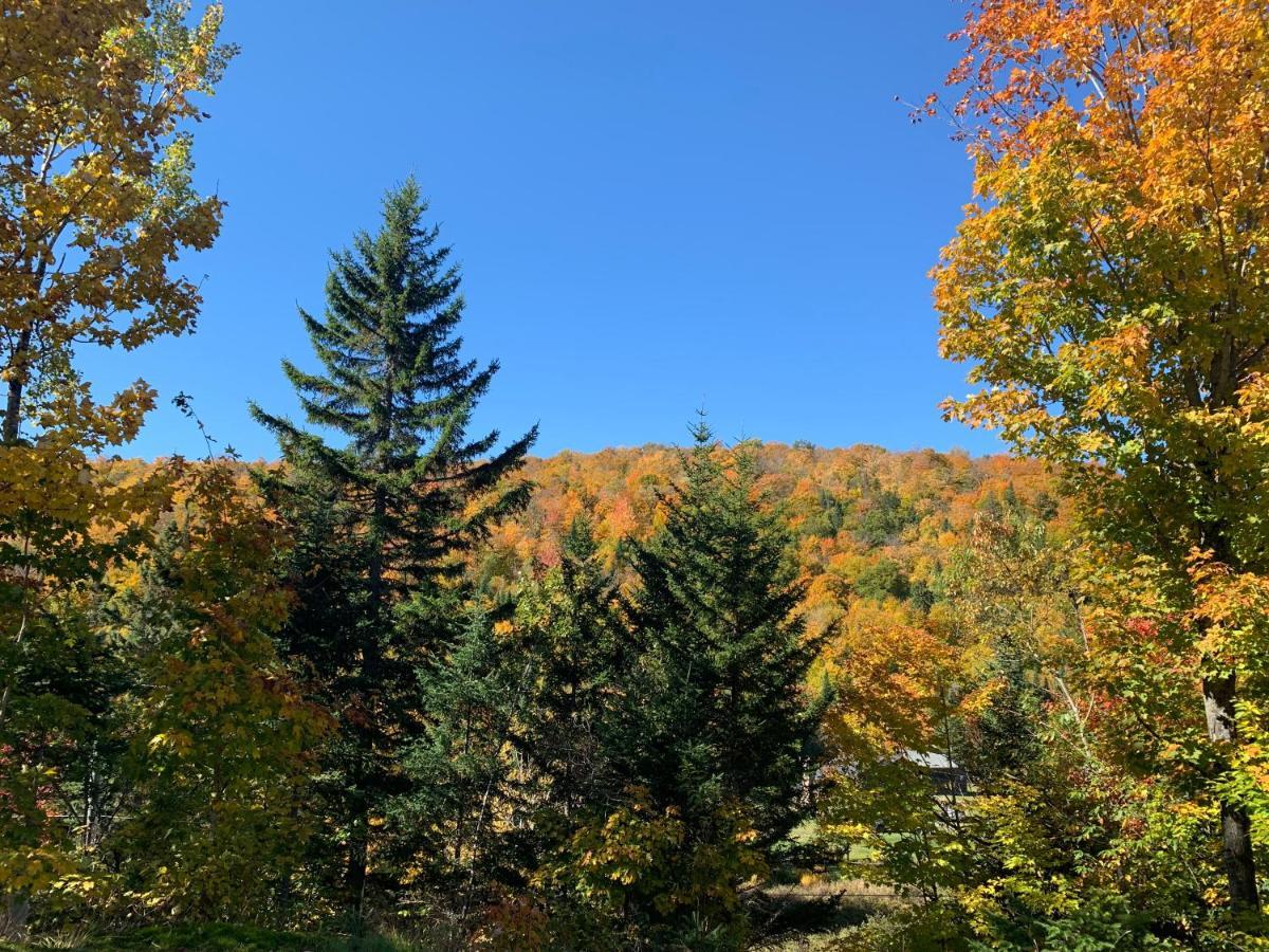 Loft Nature Laurentides Val-des-Lacs Exterior foto